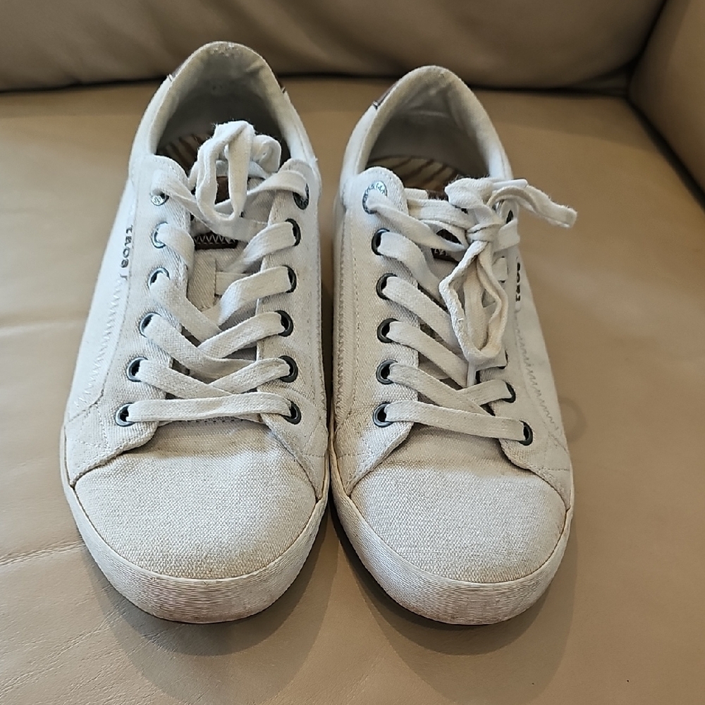 TAOS Casual Beige Sneakers with Brown Accents - Picture 2 of 8